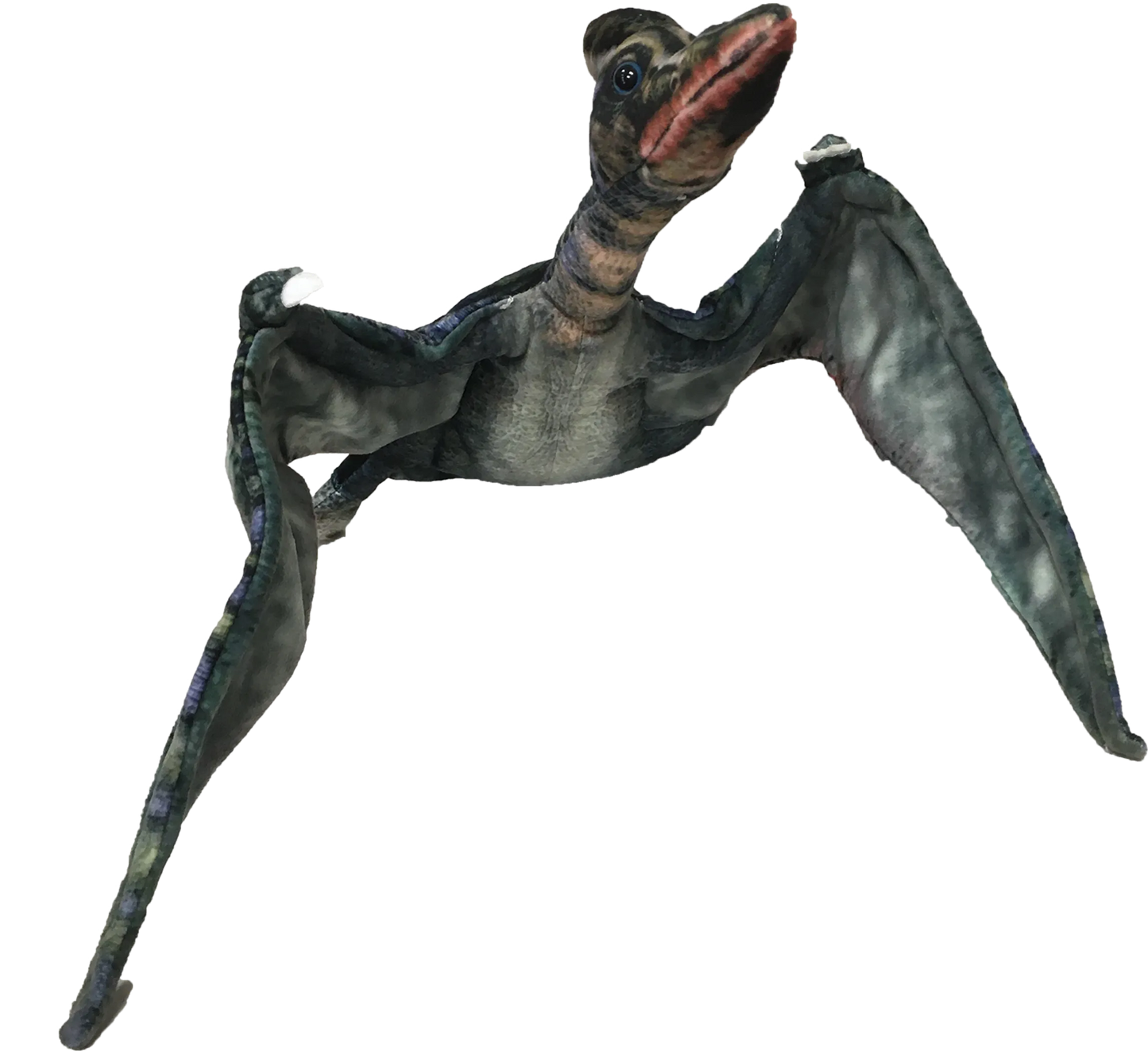Pterosaur 26" Dinosaur Plush Stuffed Animal