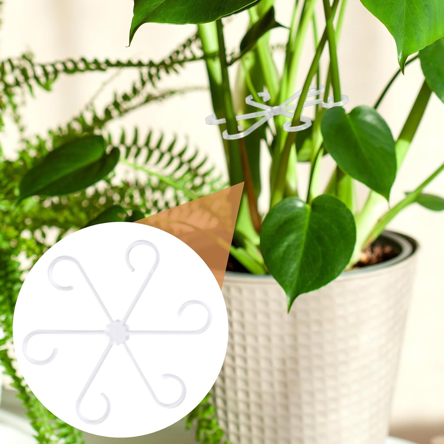8PCS Plant Stem Support, 4 Sizes Climbing Houseplant Stem Holders, Plastic Reusable Flower Trellis Stem Hook Plant Care Growth Accessories for Flower Plants Indoor Outdoor- Green, Clear WN420