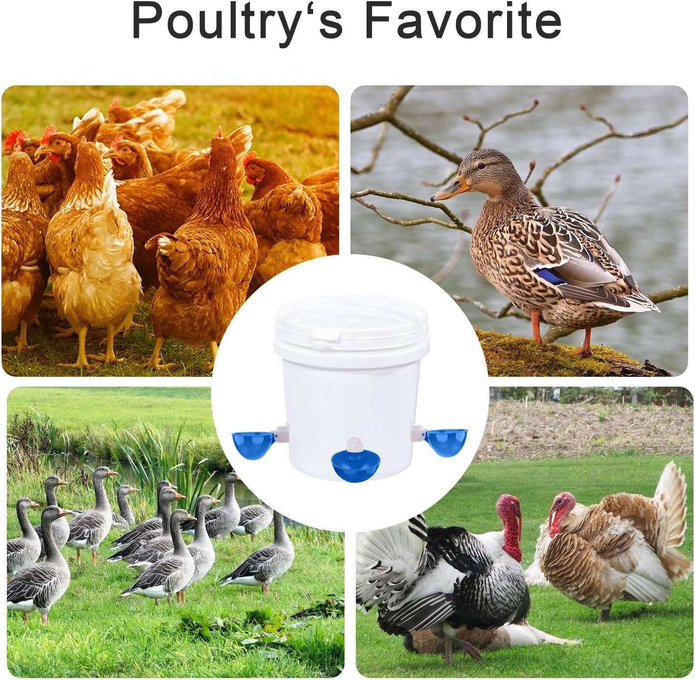 Darcvds Professional Chicken Waterer Cups, 8 Packs Blue Large Chicken Water Feeder, Tee Fittings Poultry Waterer Suitable for Duck, Chicks, Goose, Turkey, Bunny and Bird with Mounting Hole Opener WN420