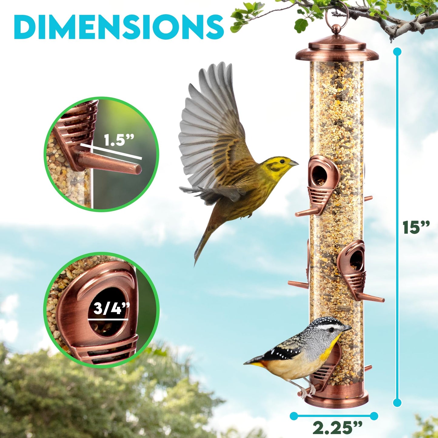 Bird Feeders for Outdoors (Green) Squirrel Proof Hanging Bird Feeder with Locking Lid & Adjustable Hanger RD12