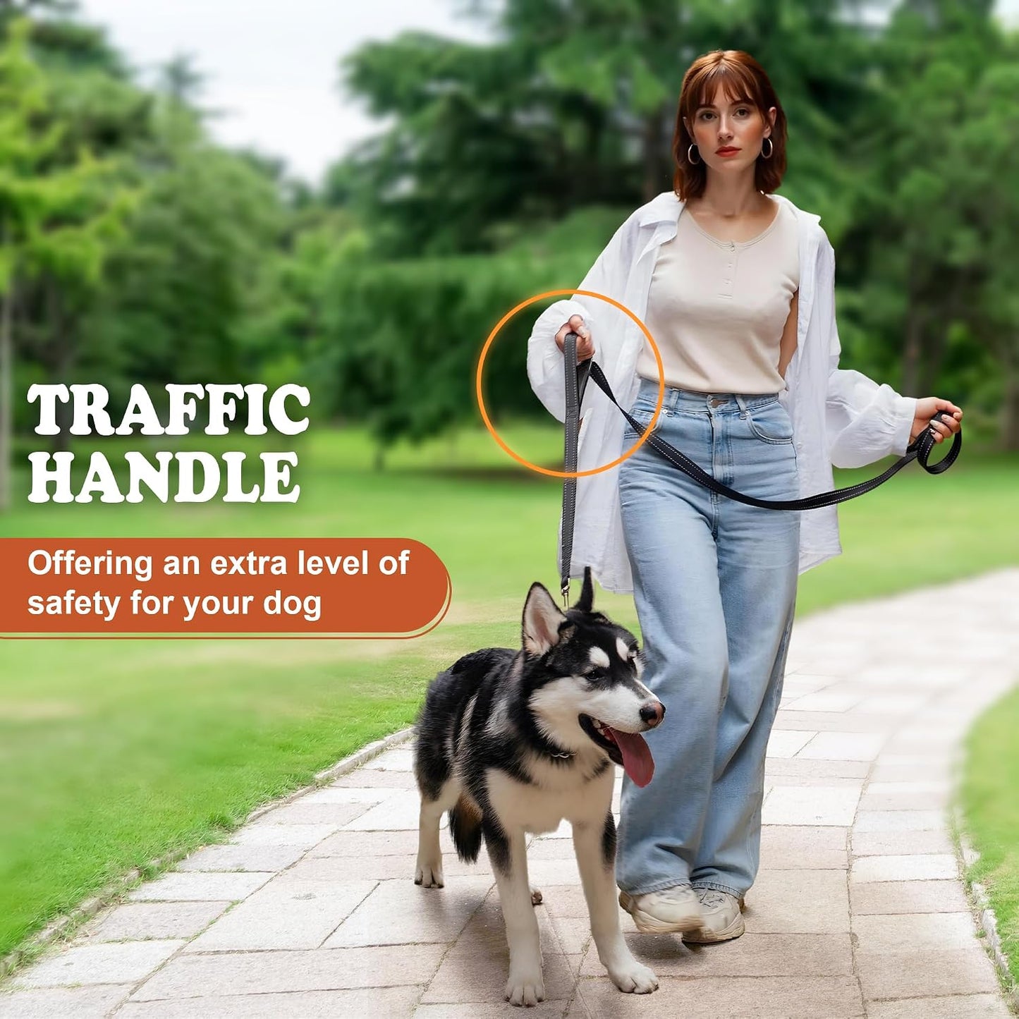 6FT Heavy Duty Dog Leash with Double Padded Handles, Traffic Handle & Reflective Nylon, Durable Walking Lead with Easy Snap Hook for Large, Medium & Small Dogs WN420