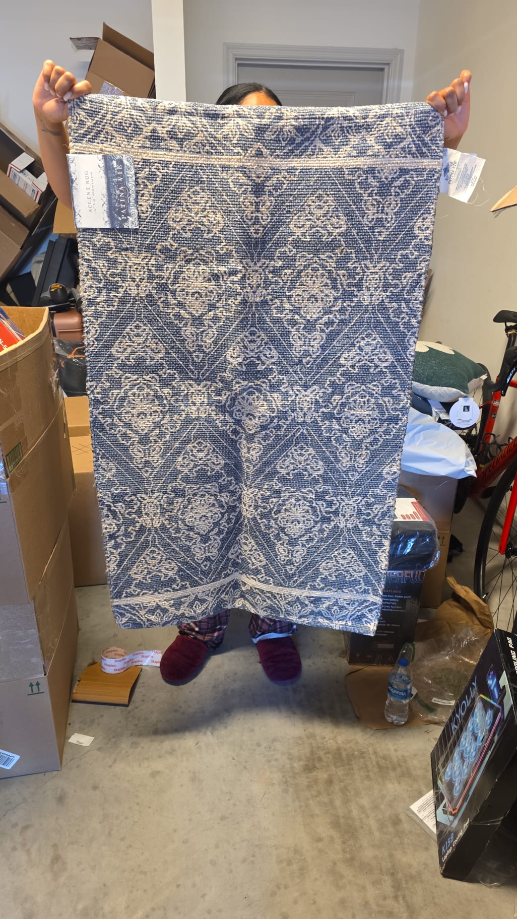 Patina Vie Accent Rug 42