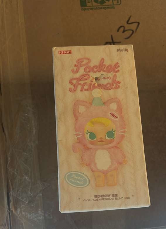 POP MART Baby Molly Pocket Friends Series-Vinyl Plush Pendant Blind Box Figures 38