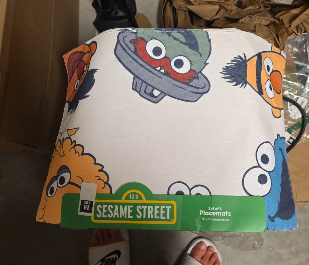 Sesame Street Placemats Set of 6 48