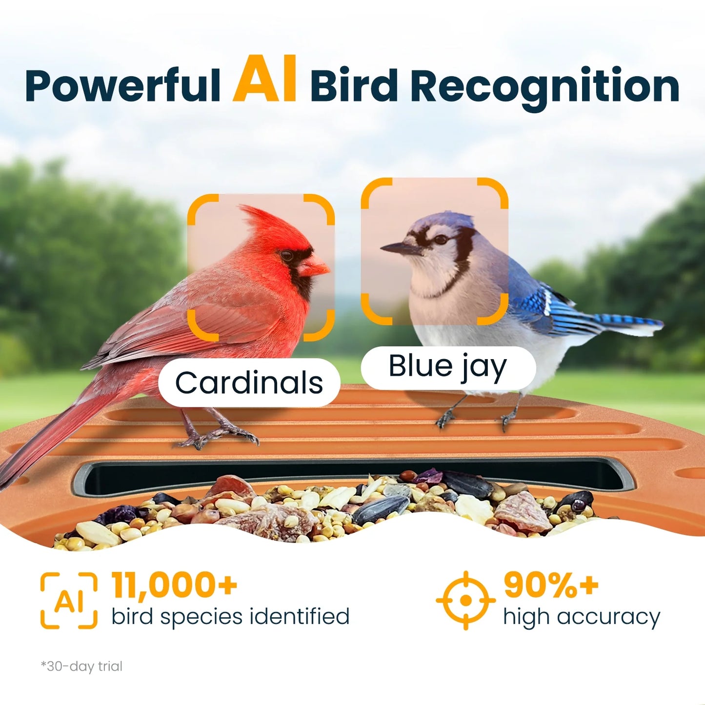 VINGUYS Bird Feeder with Camera and Smart AI Identification 81