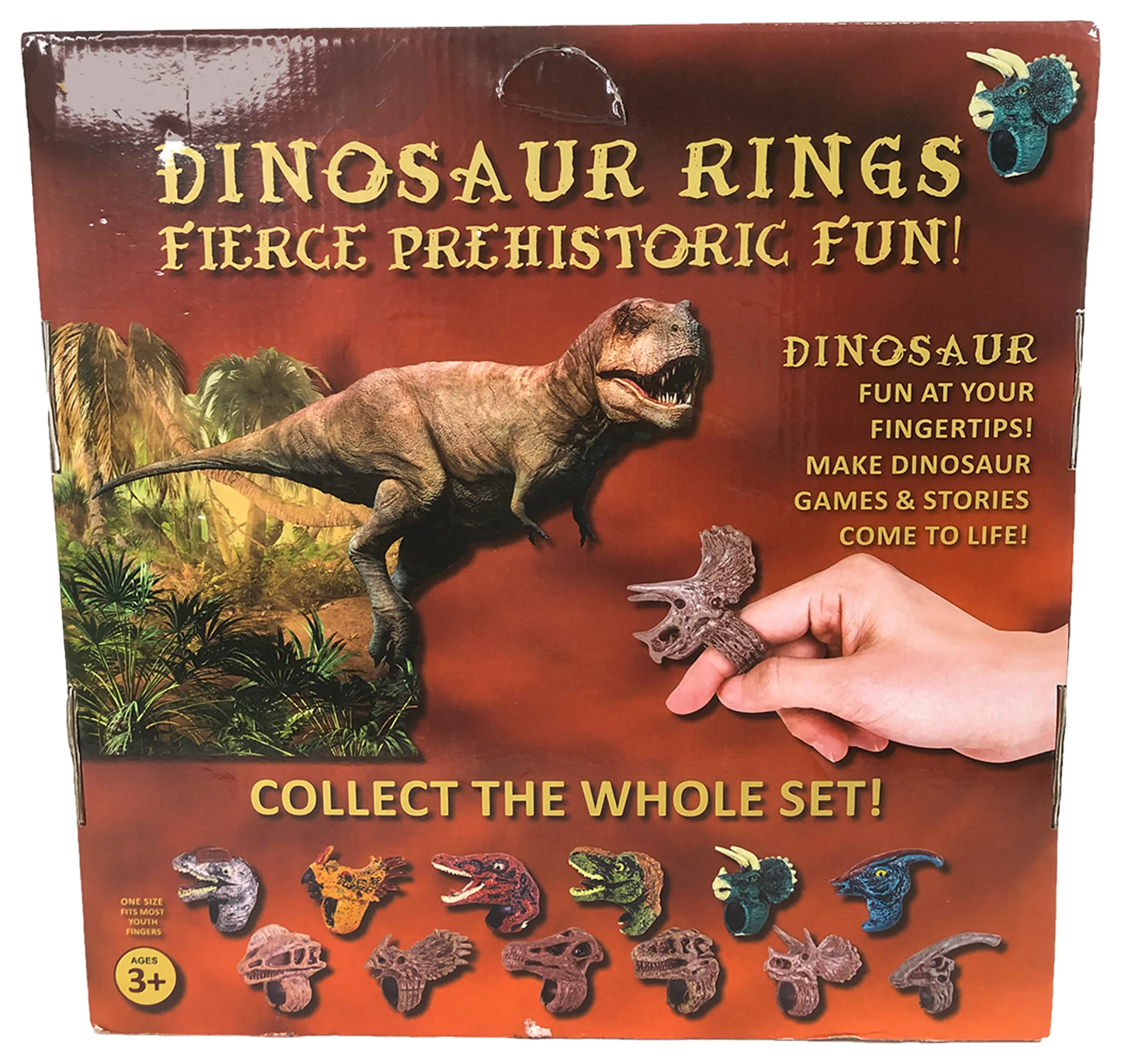 Dinosaur Ring Display Box, x12 Ring Assortment