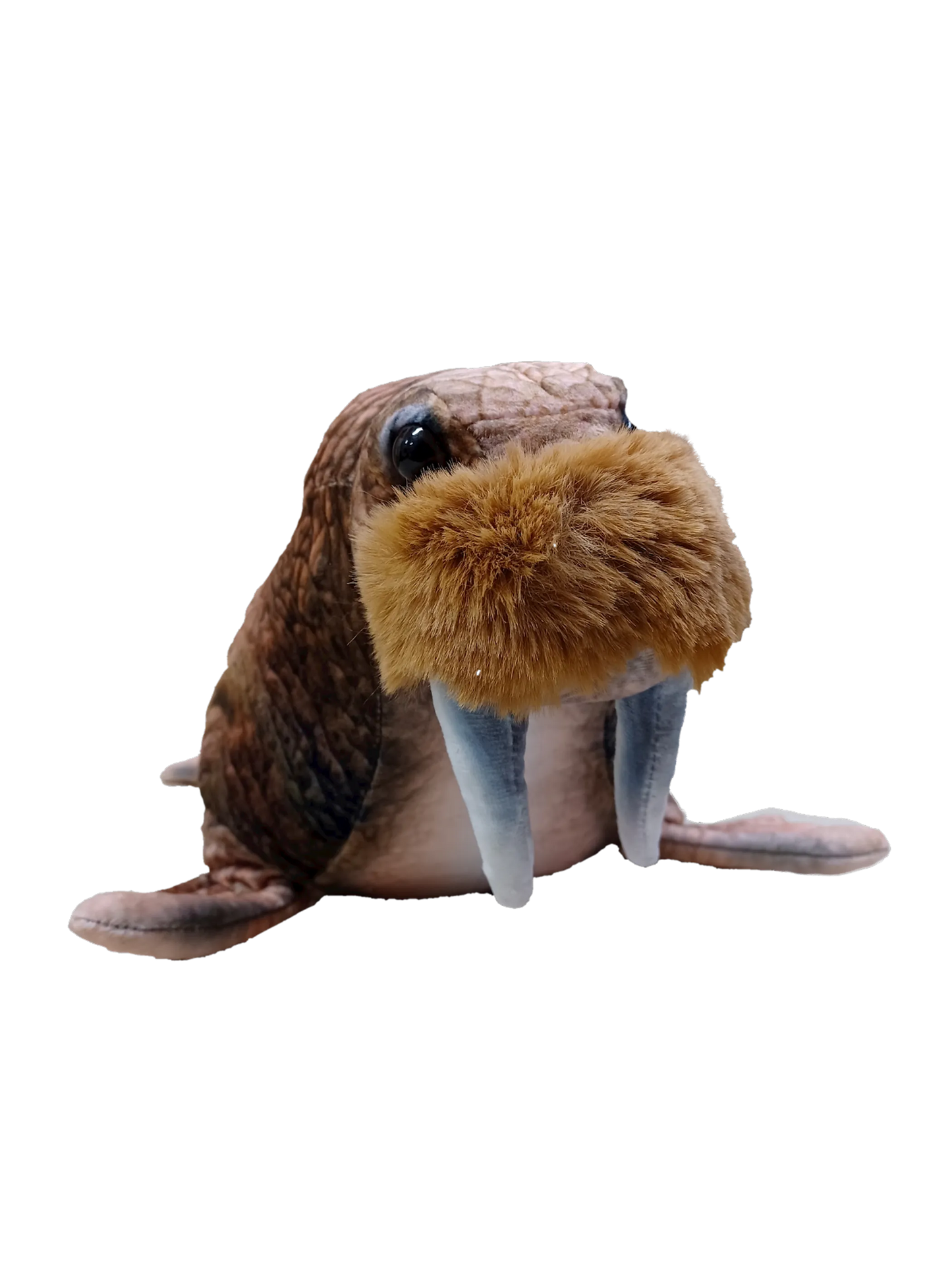 Walrus 16" Plush Aquatic Stuffed Animal
