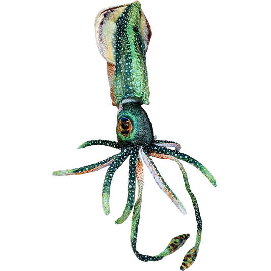 Squid 16" Cuttlefish Aquatic Plush Stuffed Animal Ocean Creature