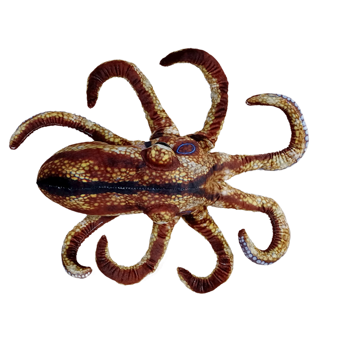Octopus Aquatic Ocean Plush 10" Stuffed Animal