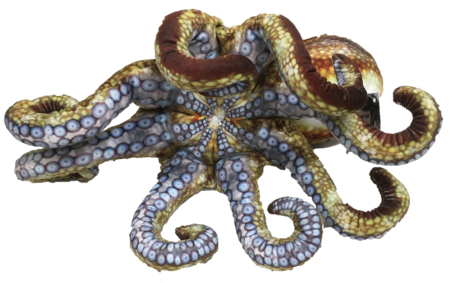 Octopus Aquatic Ocean Plush 10" Stuffed Animal