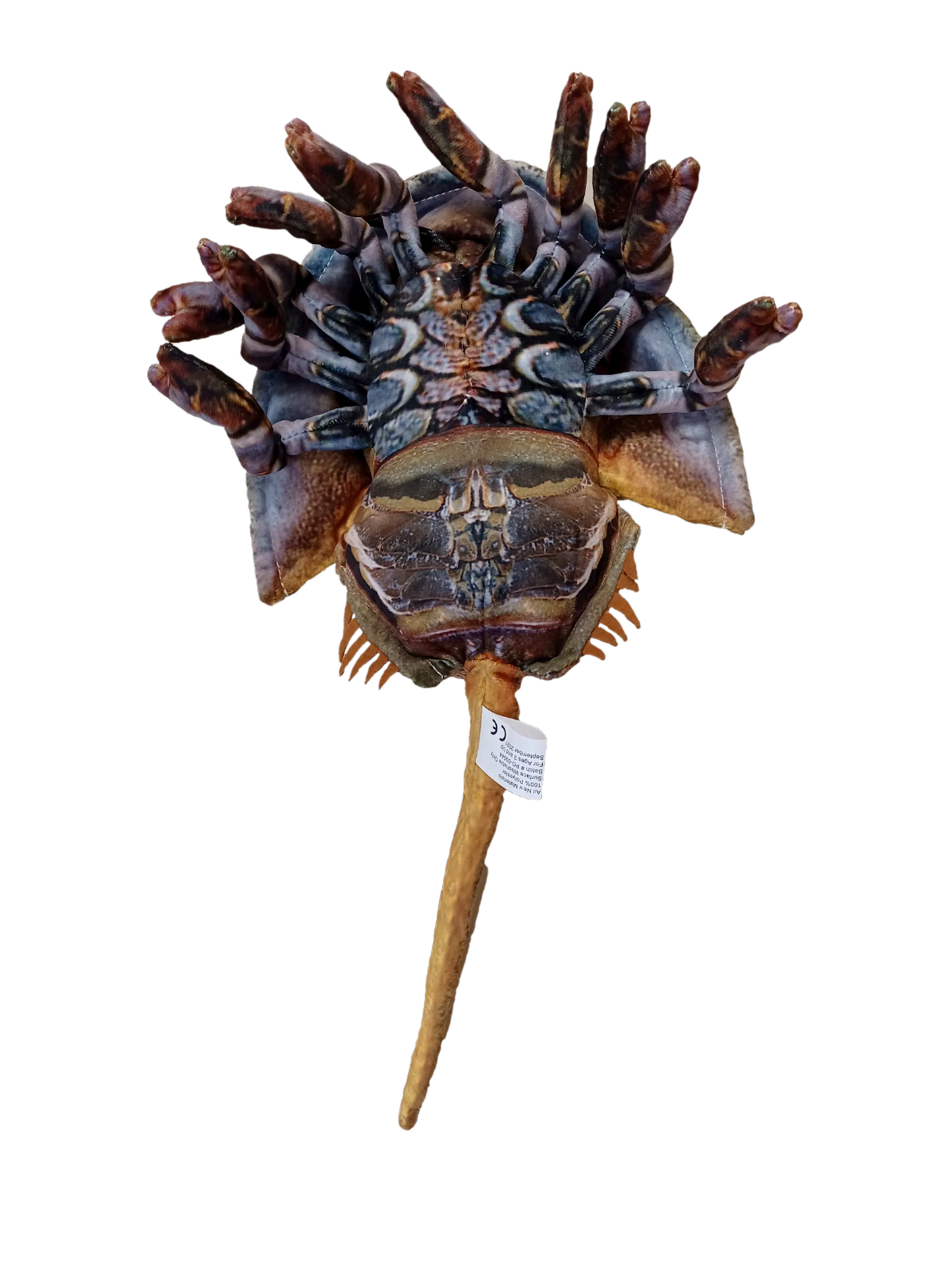 Horseshoe Crab 17.75" Plush Stuffed Animal