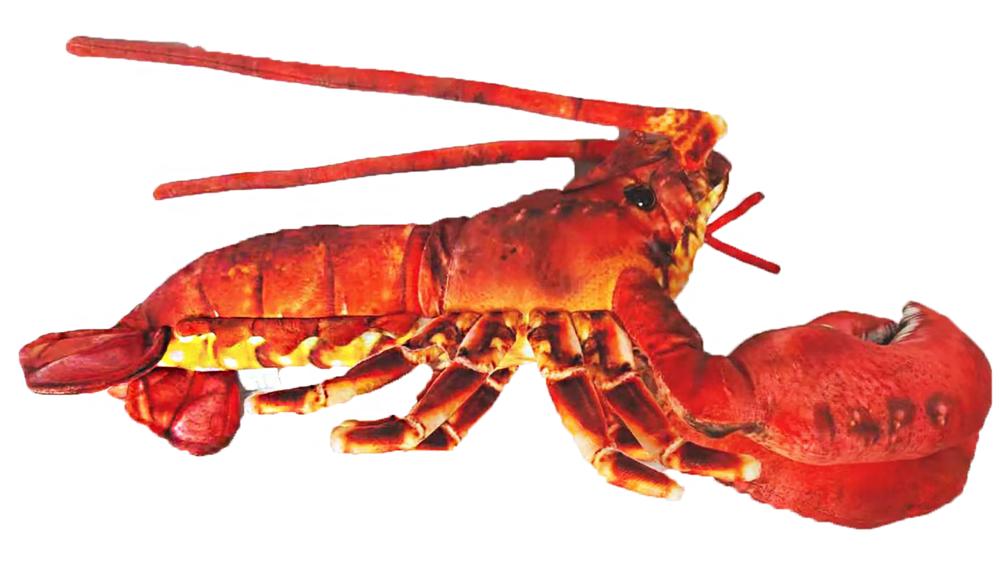 Lobster with Claws 18" Ocean Plush Stuffed Animal