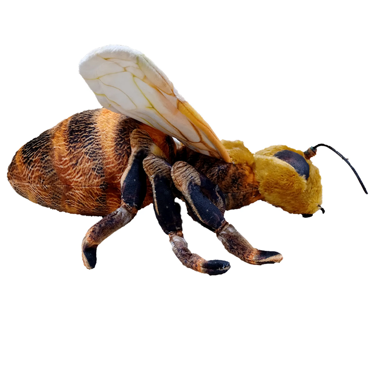Stuffed Be Bee 14