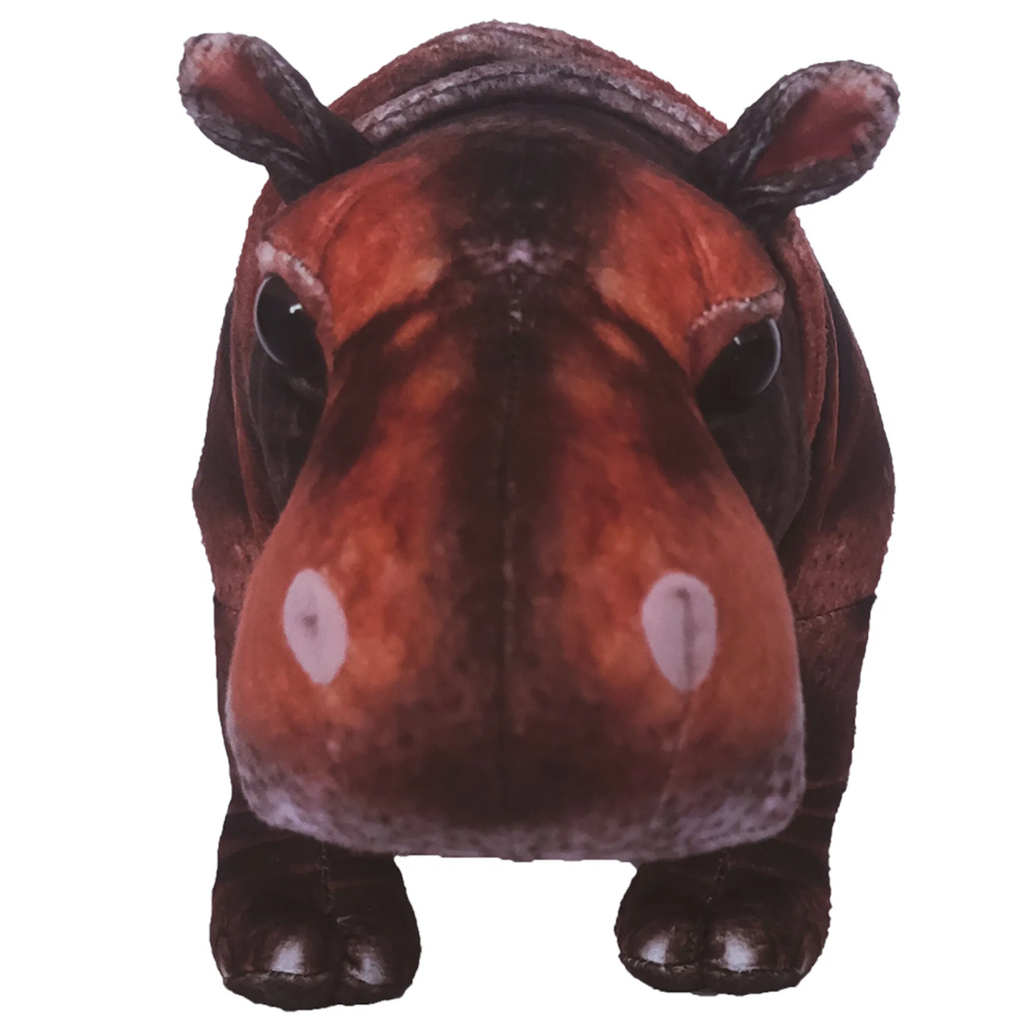 Hippo 13.75" Zoo Plush Stuffed Animal