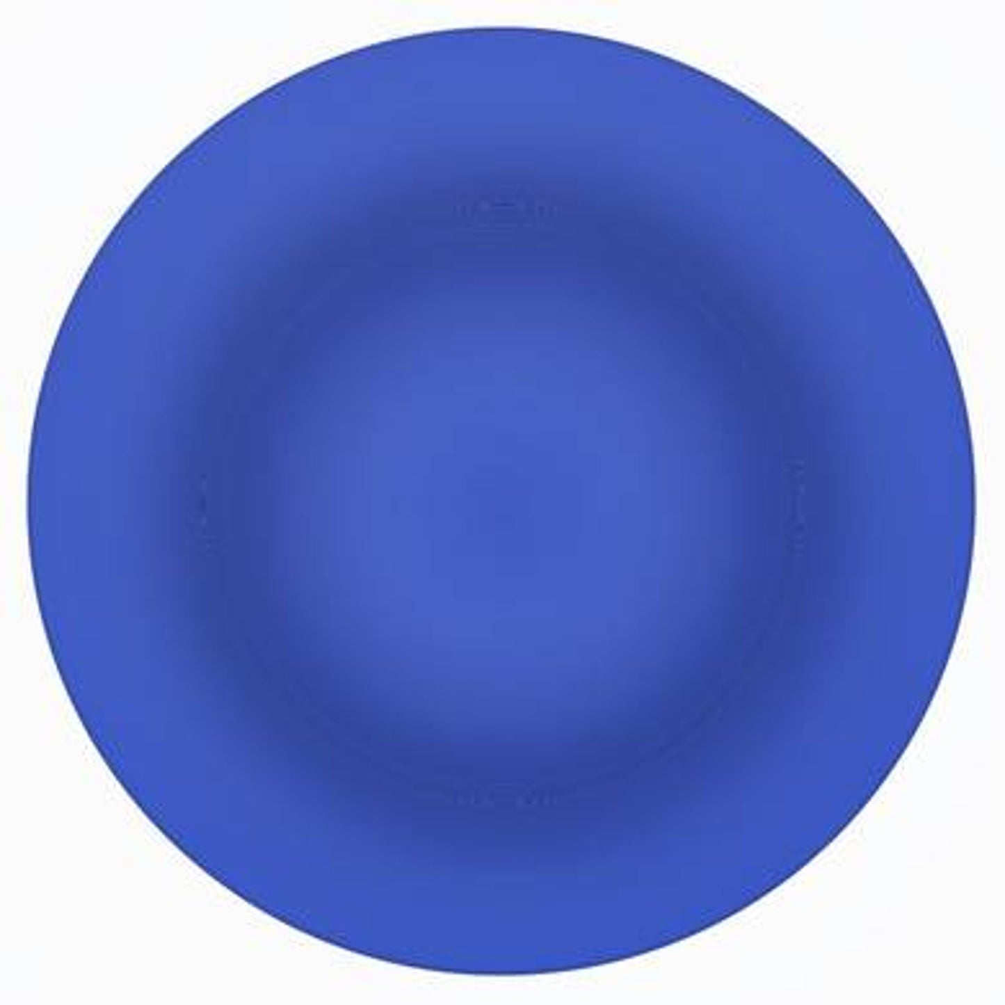 Room Essentials 10.5" Blue Plastic Dinner Plate