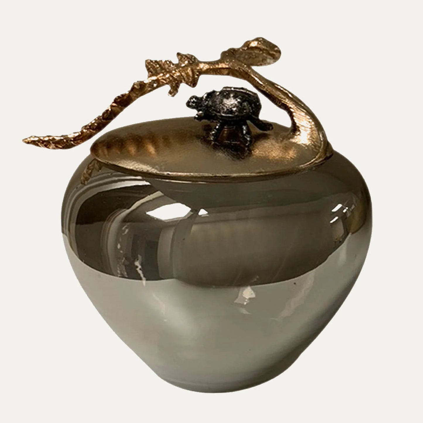 The Fern Collection
