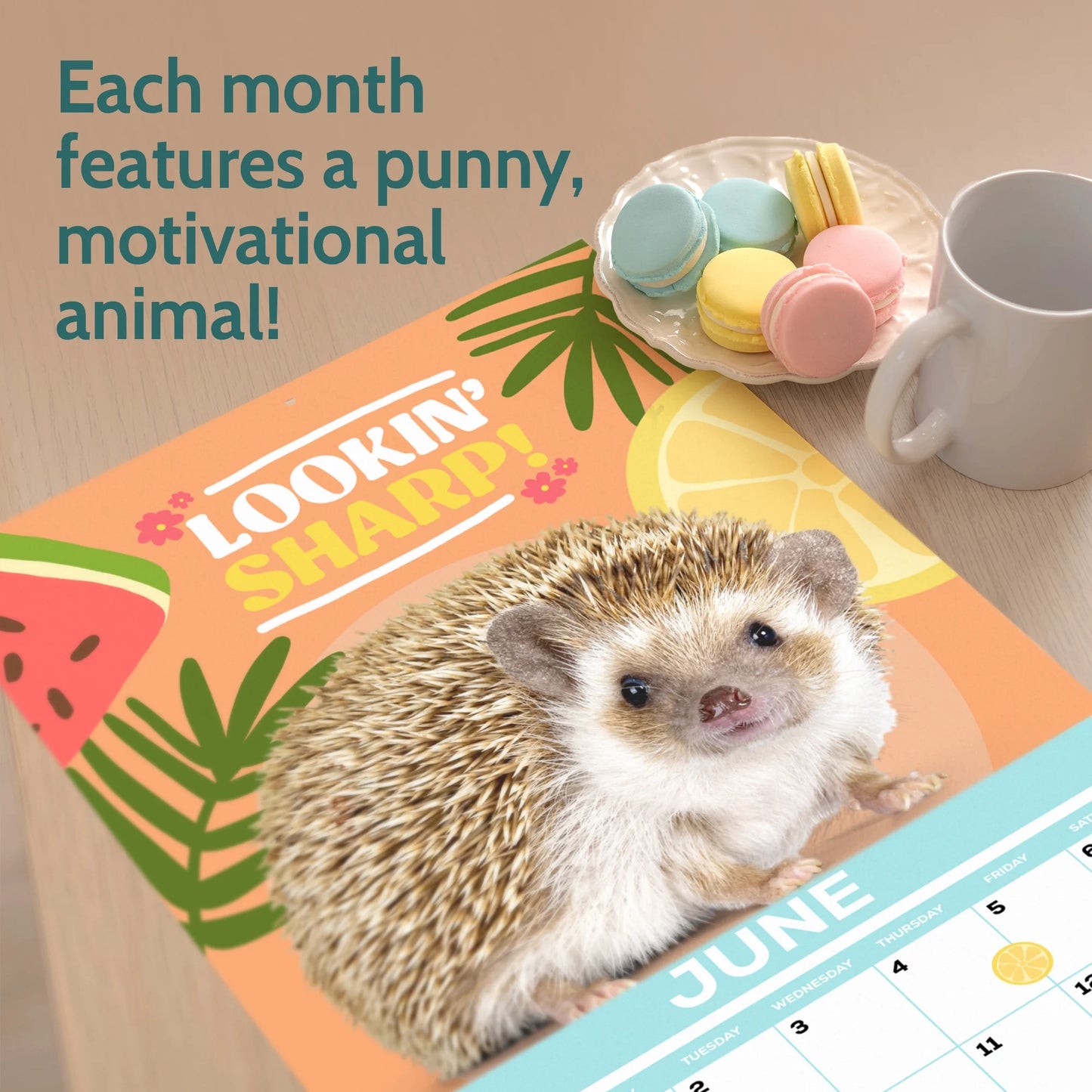 T Marie Brand 2026 Funny Wall Calendar - Funny Animals 65
