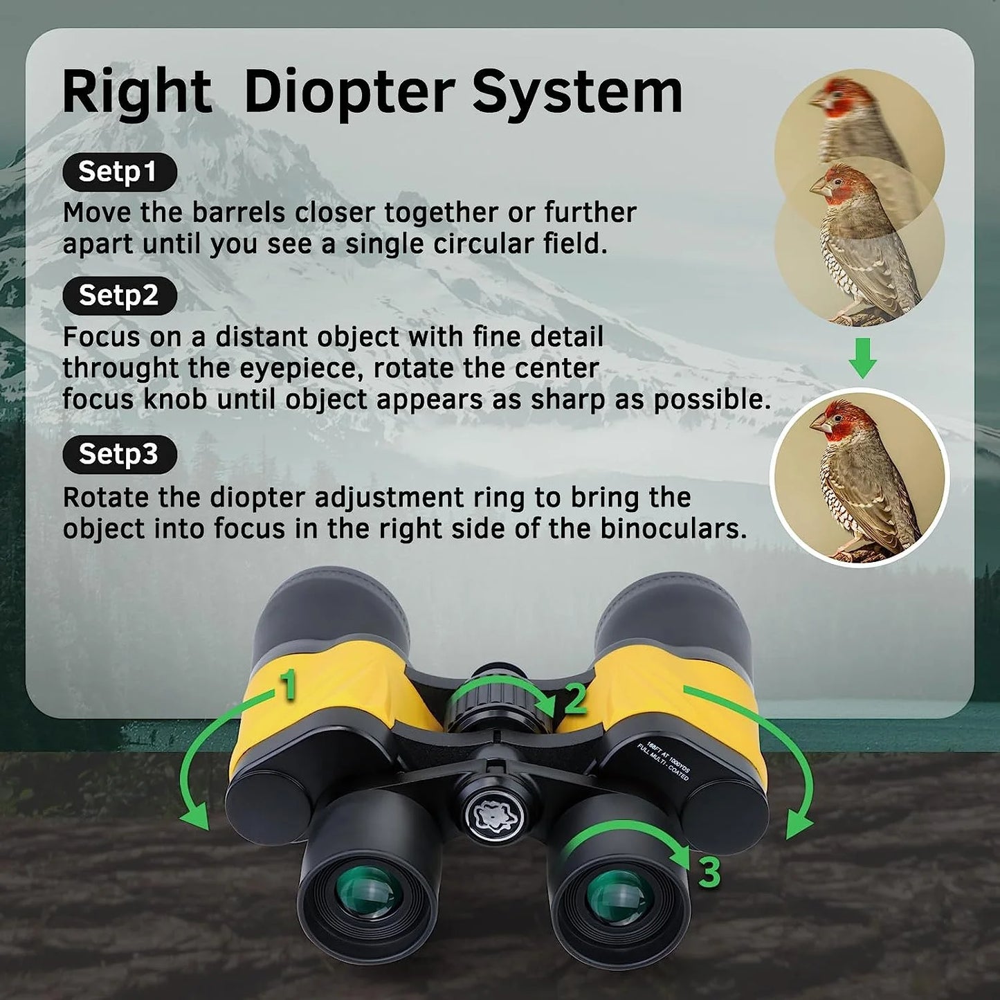 Professional Porro Binoculars 80