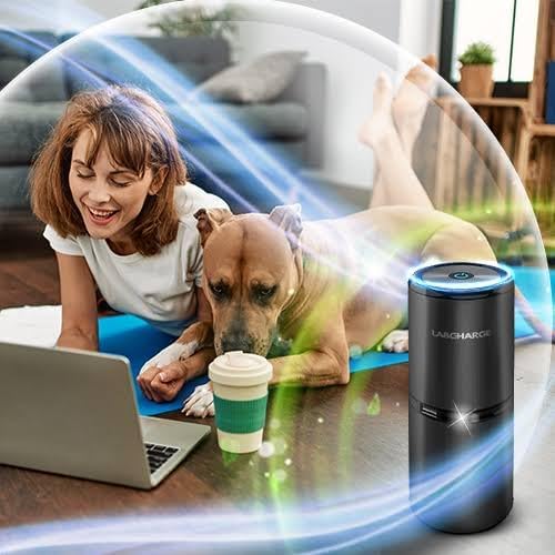 Lab Charge Small Ionic Air Purifier 99