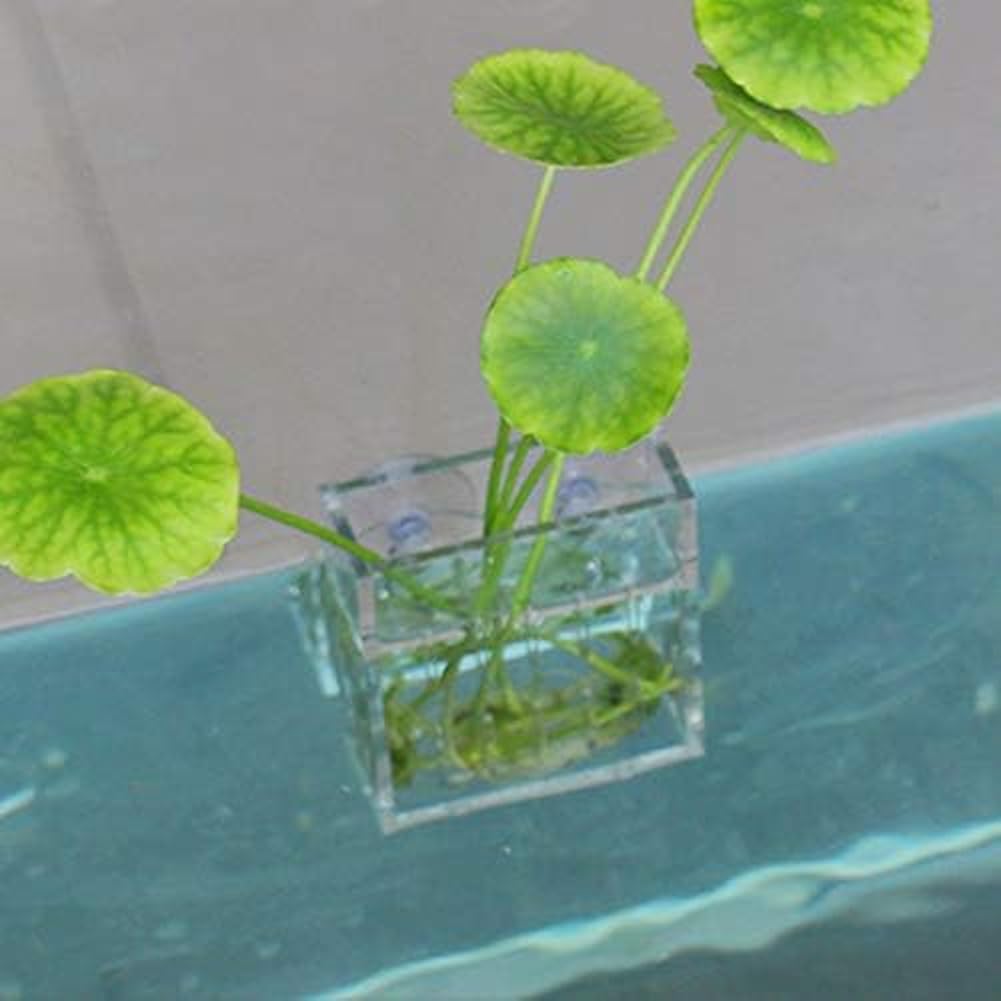 La La Pet Acrylic Mini Suction Cup for Aquatic Plants Transparent Water Plant Cup Pot Holder for Aquarium Fish Tank Decor Large BST326H
