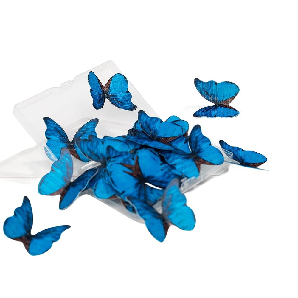 Edible Butterflies for Cake Decorating, Rainbow edible Butterfly Cake Toppers and Cupcake Toppers, Edible Wafer Paper Butterflies Set of 48 Rainbow Cake Food Decorations (5Colors-1) BST326L