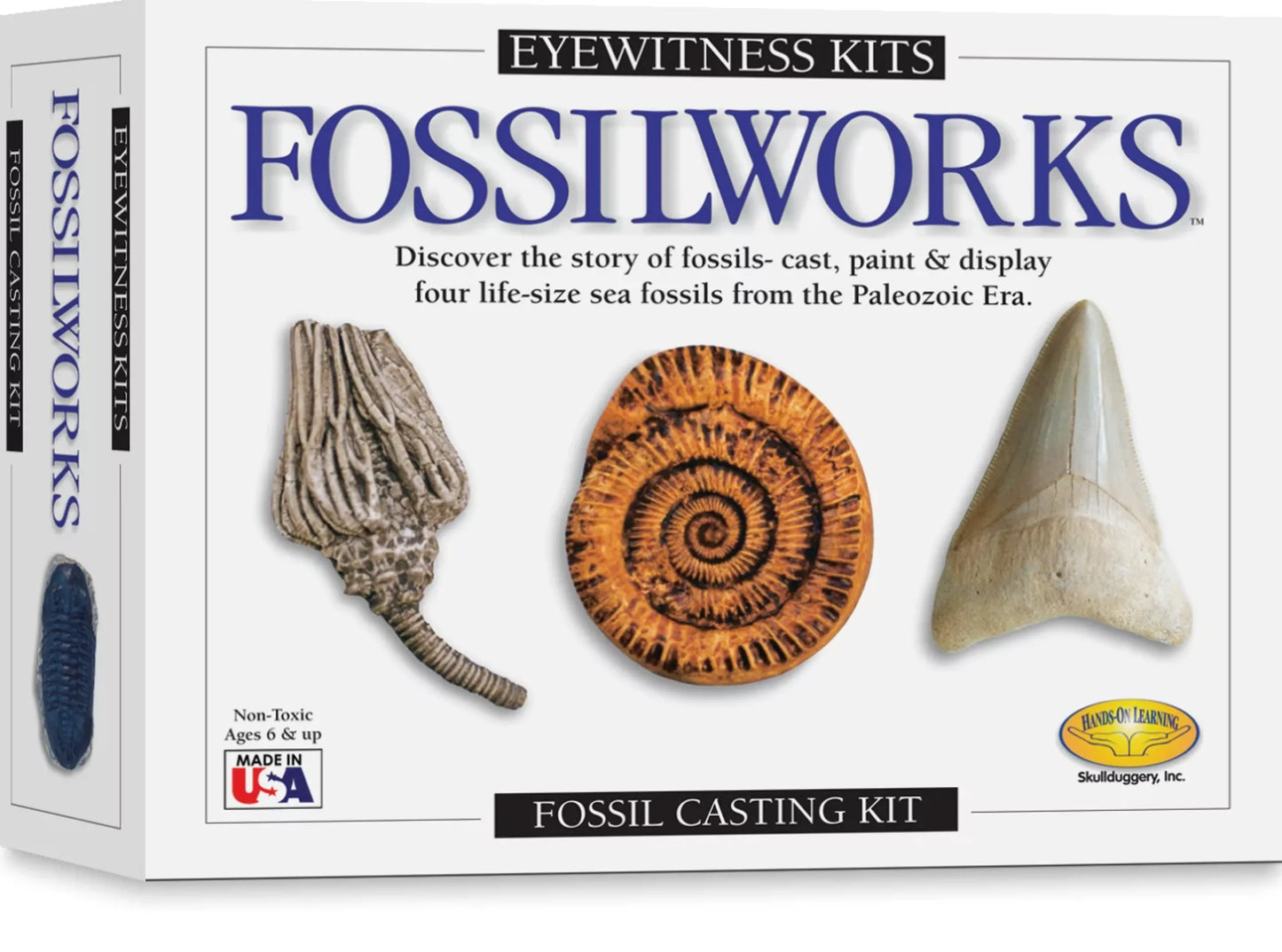 Eyewitness Kit