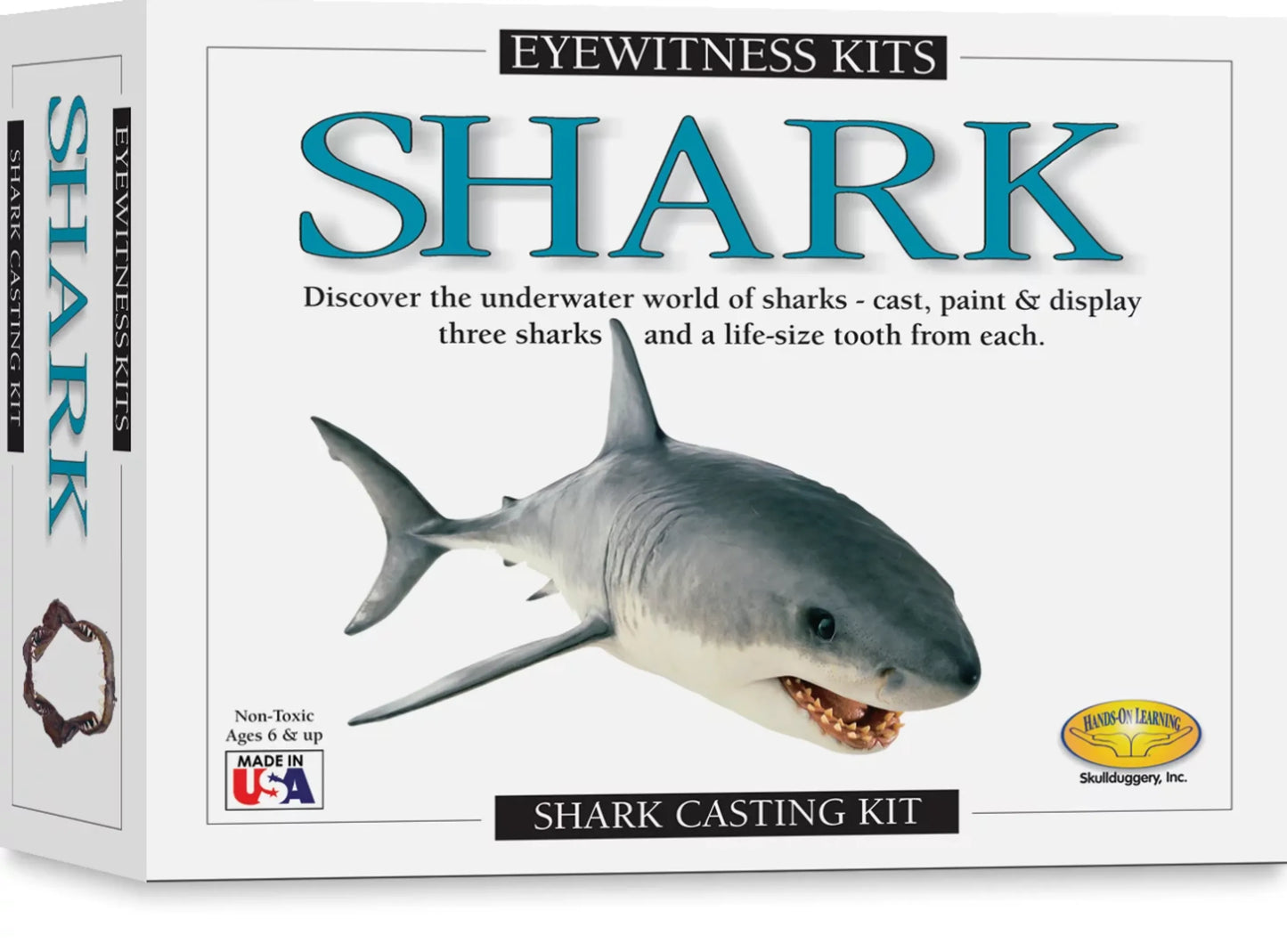 Eyewitness Kit