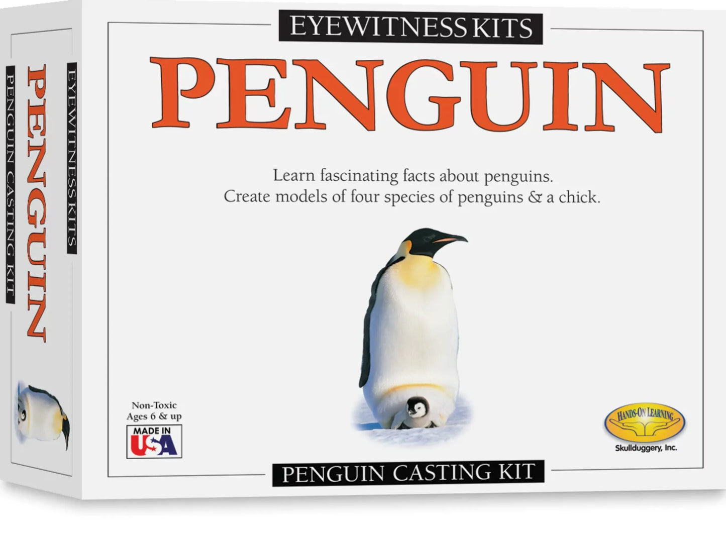 Eyewitness Kit