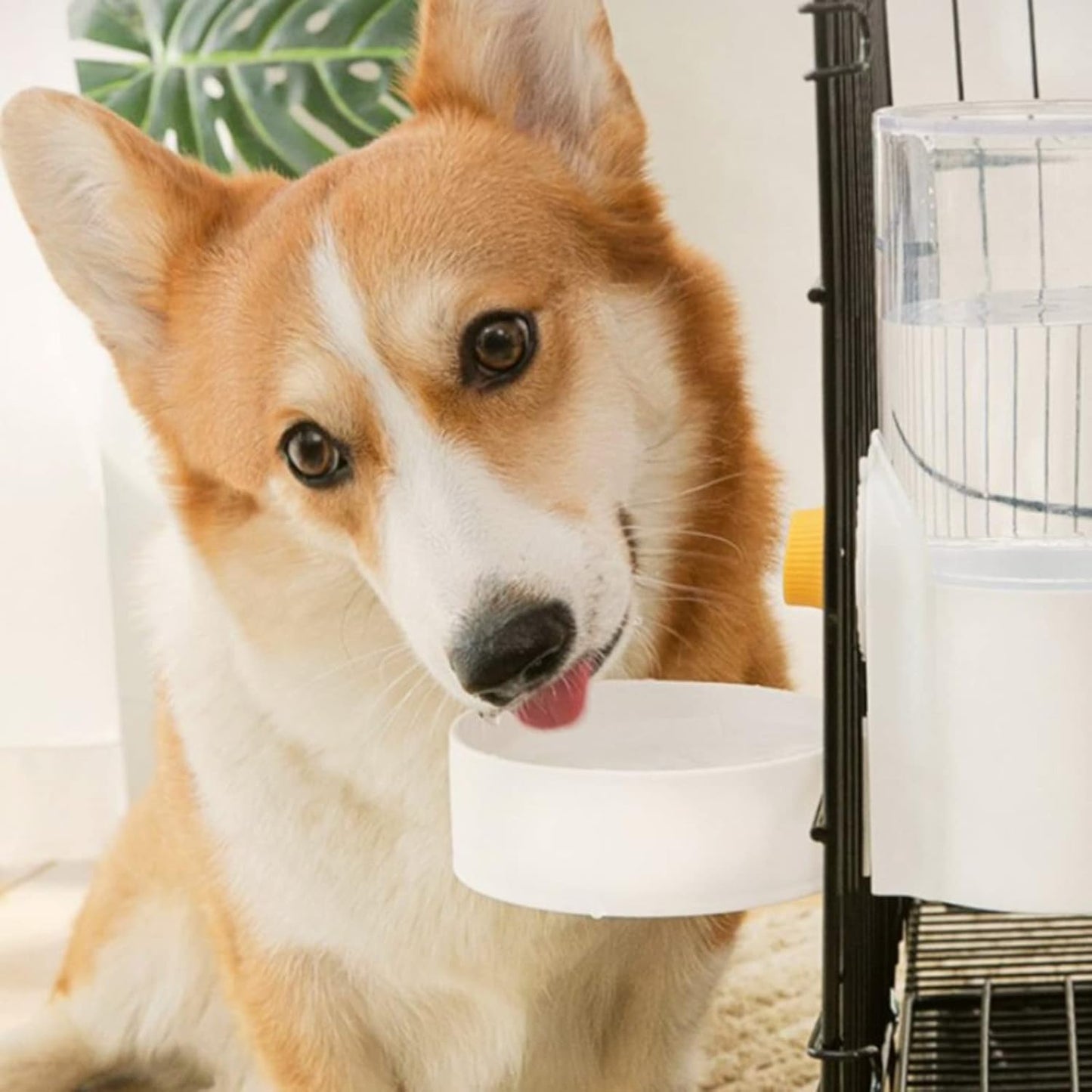 Hanging Automatic Waterer Food Feeder 99