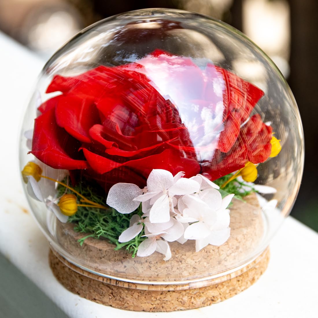 Preserved Real Rose in a Circular Glass Cover, Wooden Base, a Gift for Valentine's, Mother's Day Christmas, Anniversary, Girlfriend Birthday（Blue） 1 pcs 10 cm BST220
