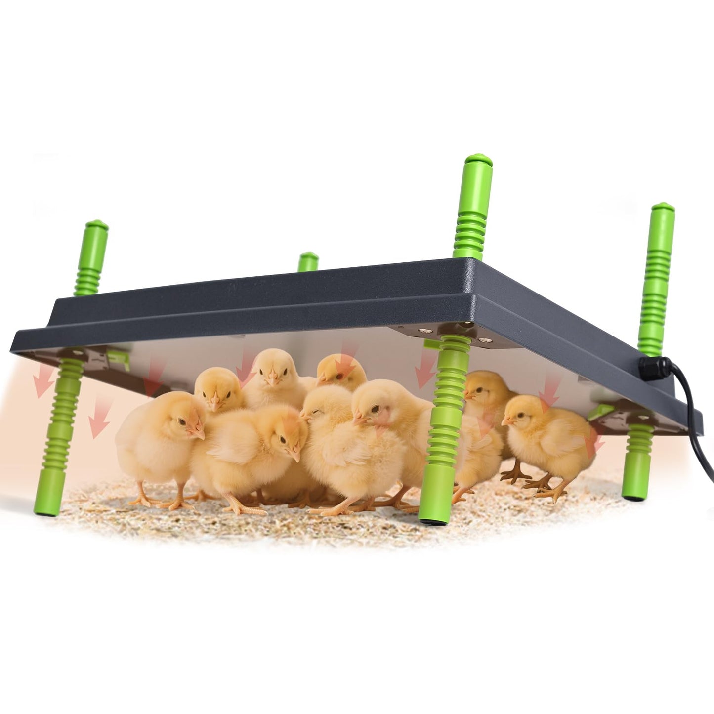 Chick Brooder Heater Plate, 12"x16" Warmer Brooder Plate for Chicks with Adjustable Height & Temperature Display RD12