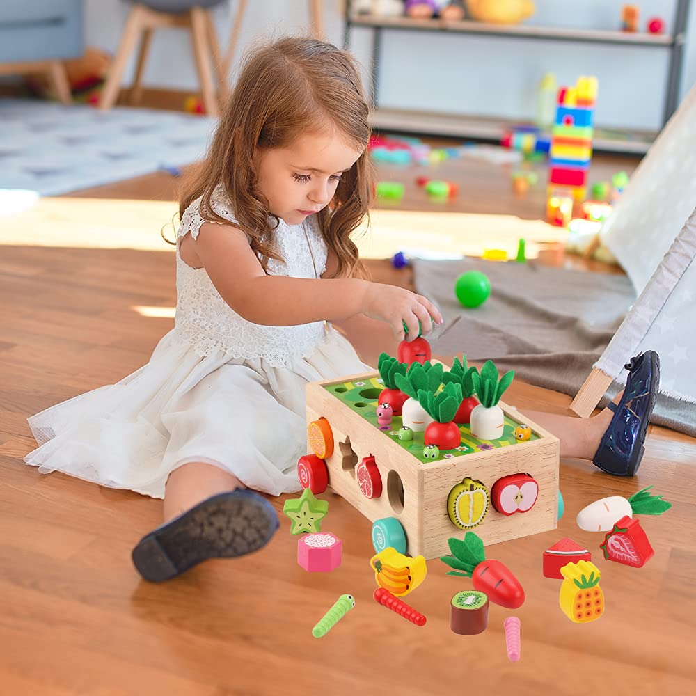 Toddlers Montessori Wooden Educational Toys RD4