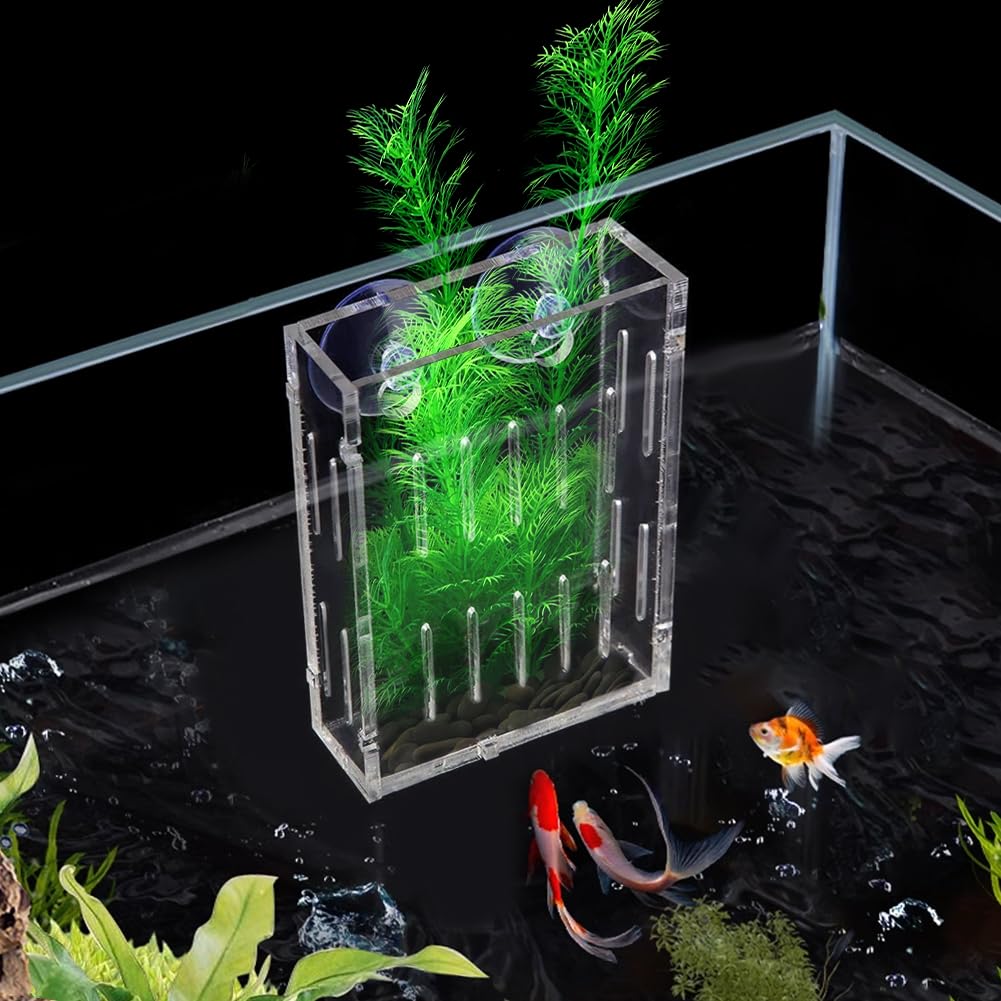 La La Pet Acrylic Mini Suction Cup for Aquatic Plants Transparent Water Plant Cup Pot Holder for Aquarium Fish Tank Decor Large BST326H
