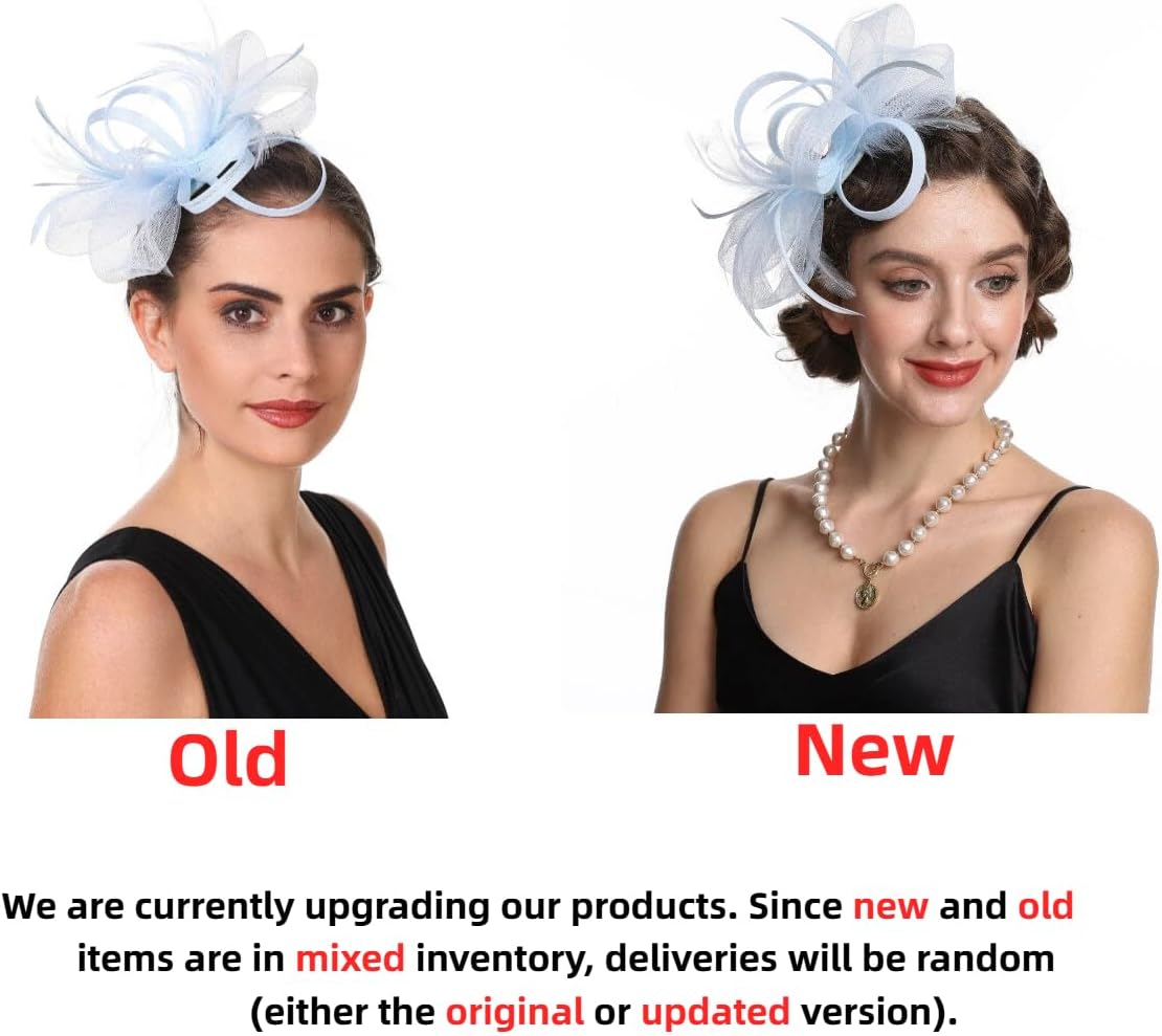 SAFERIN Fascinators Hat Flower Mesh Ribbons Feathers on a Headband and a Clip Tea Party Headwear for Girls and Women WN420