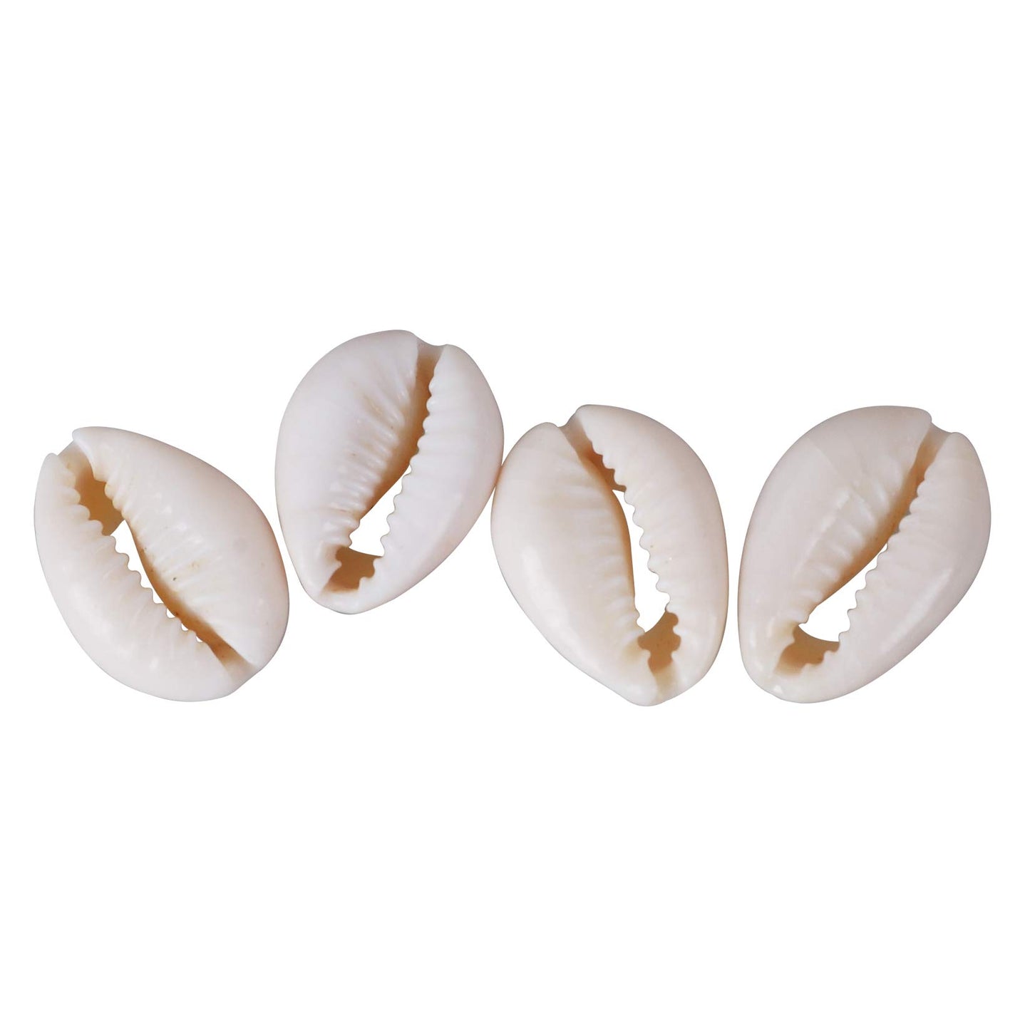 250 PCS Grey 0.71"-0.79"（18-20mm） Natural Strong Cowrie Shell Beads Smooth Cut Oval Seashells, Beach Seashells with Big Hole for DIY Craft Jewelry Making, Adorning Hair Locks and Braids BST220