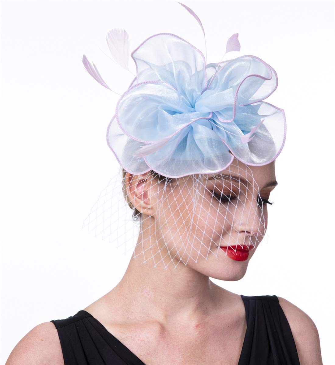 SAFERIN Fascinators Hat Flower Mesh Ribbons Feathers on a Headband and a Clip Tea Party Headwear for Girls and Women WN420
