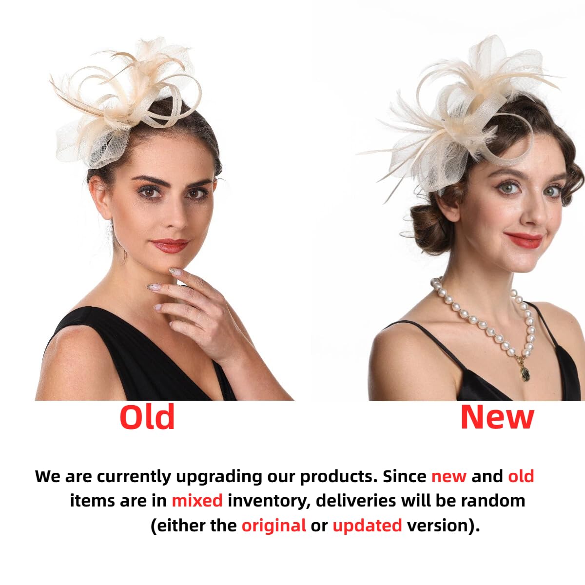 SAFERIN Fascinators Hat Flower Mesh Ribbons Feathers on a Headband and a Clip Tea Party Headwear for Girls and Women WN420