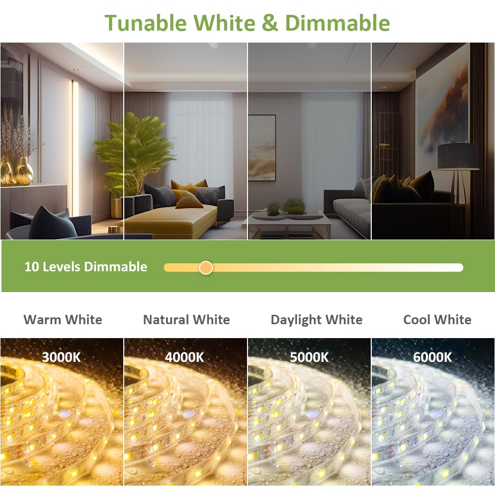 NOVOSTELLA 20ft Tunable White LED Strip Light kit Dimmable 3000K-6500K 24V LED Tape Light with Remote Flexible Rope LED Ribbon for Bedroom Home Lighting Mirror Kitchen Bar Cabinet Daylight Warm White