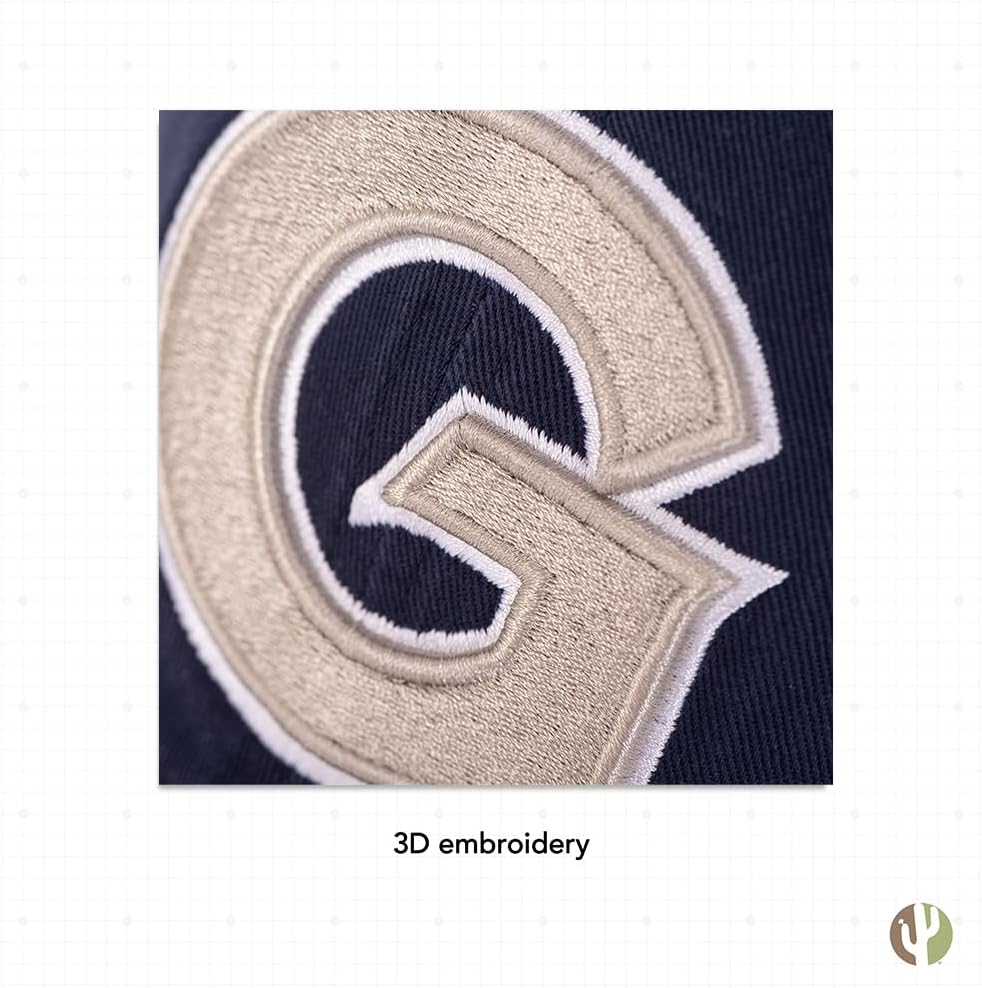 Desert Cactus Georgetown University Baseball Hat Hoyas GU Brimmed Embroidered Hats Cap Adjustable Cloth Strap Adult (Style 2) Blue WN420