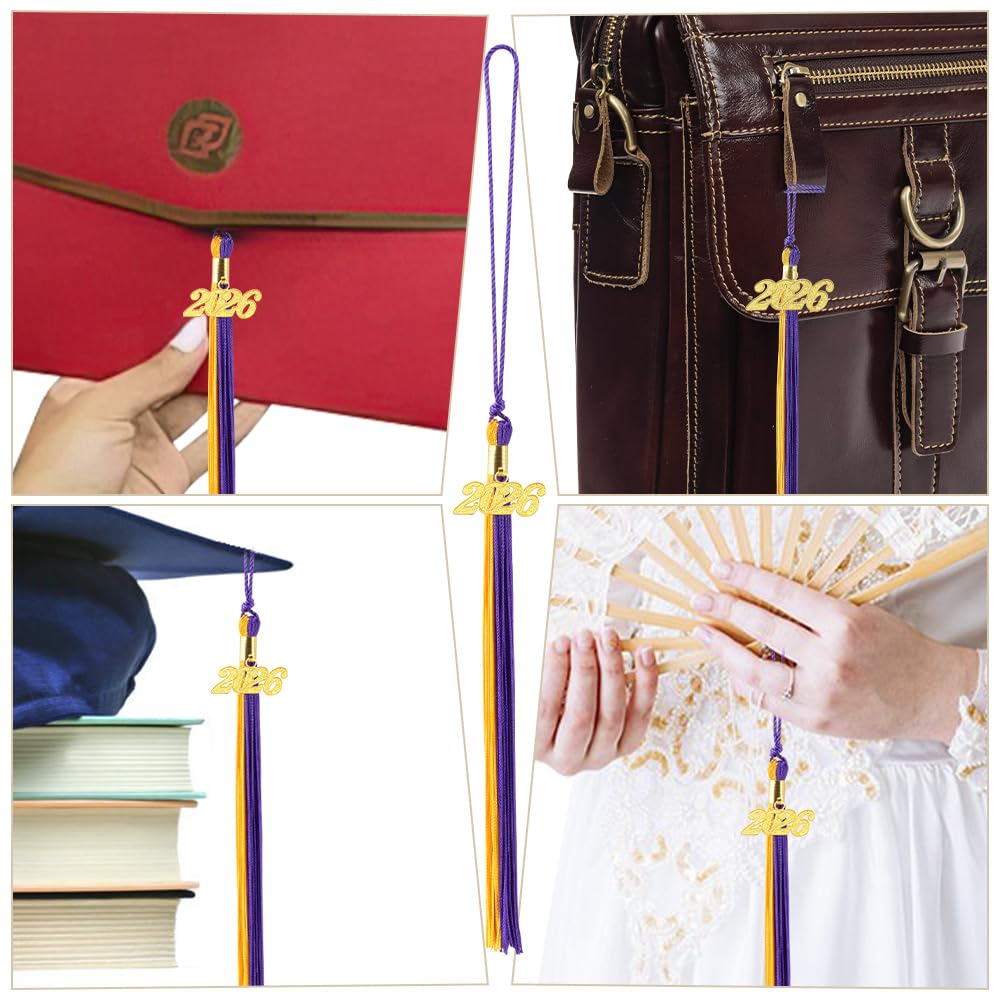 2026 Black Tassel Graduation with Charm,Graduation Cap Accessories,2026 Tassels for Caps Kindergarten Elementary School Middle School University Gifts for Students,Congrats Grad Ceremony Essentials BST220