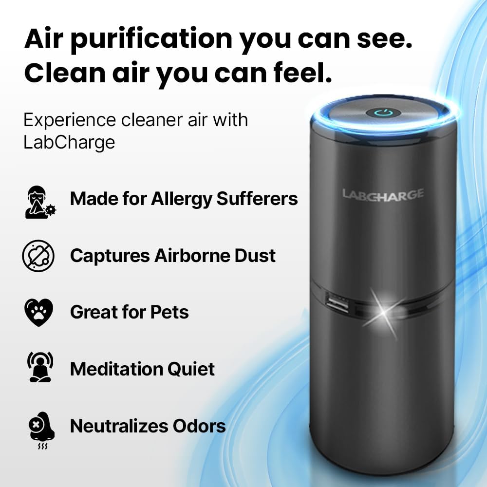Lab Charge Small Ionic Air Purifier 99