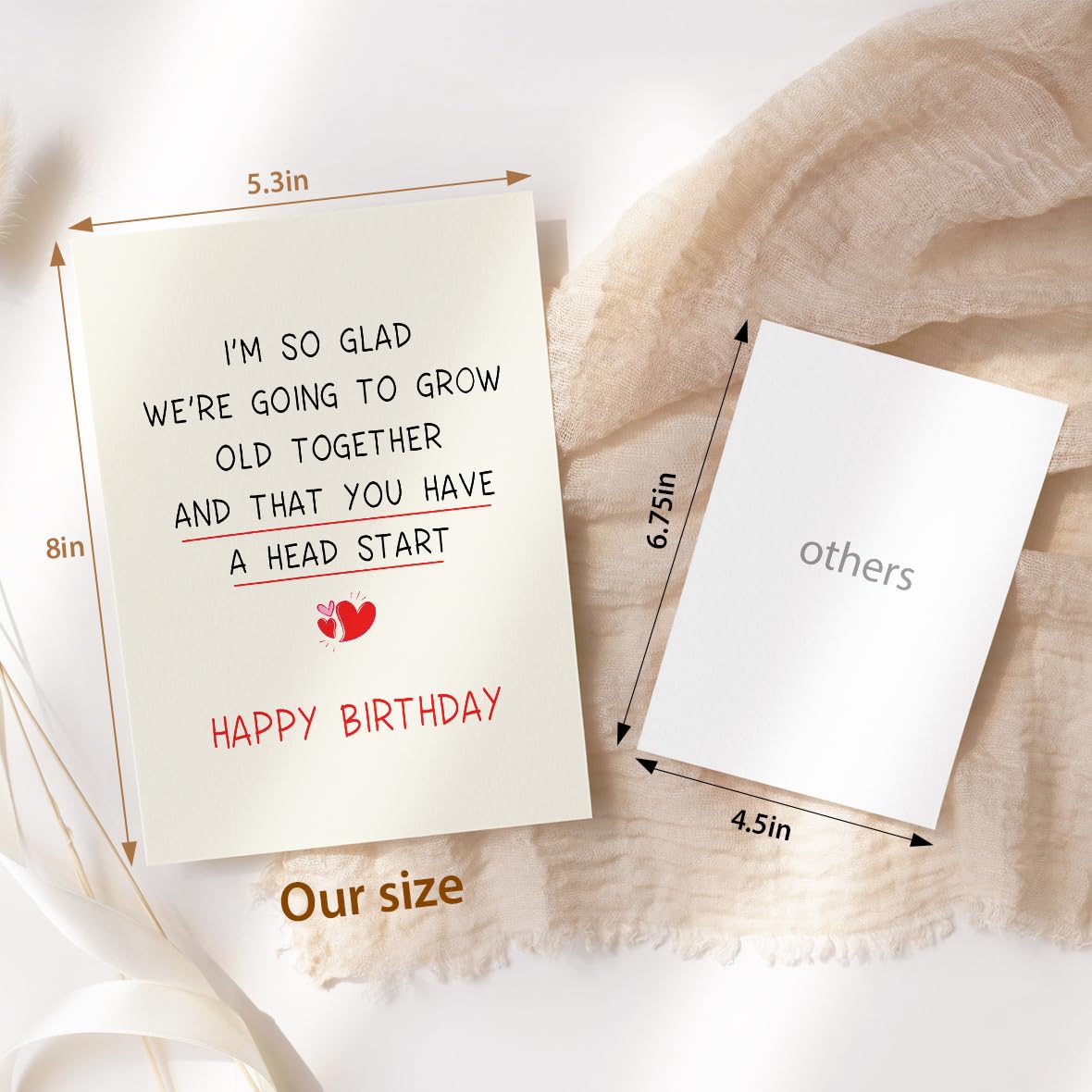 fancu Funny Birthday Card for Boyfriend, Cheeky Card for Husband | 5 x 7 inch cheeky birthday card with matte finish, printed message, red envelope, and sticker for boyfriend or husband BST202