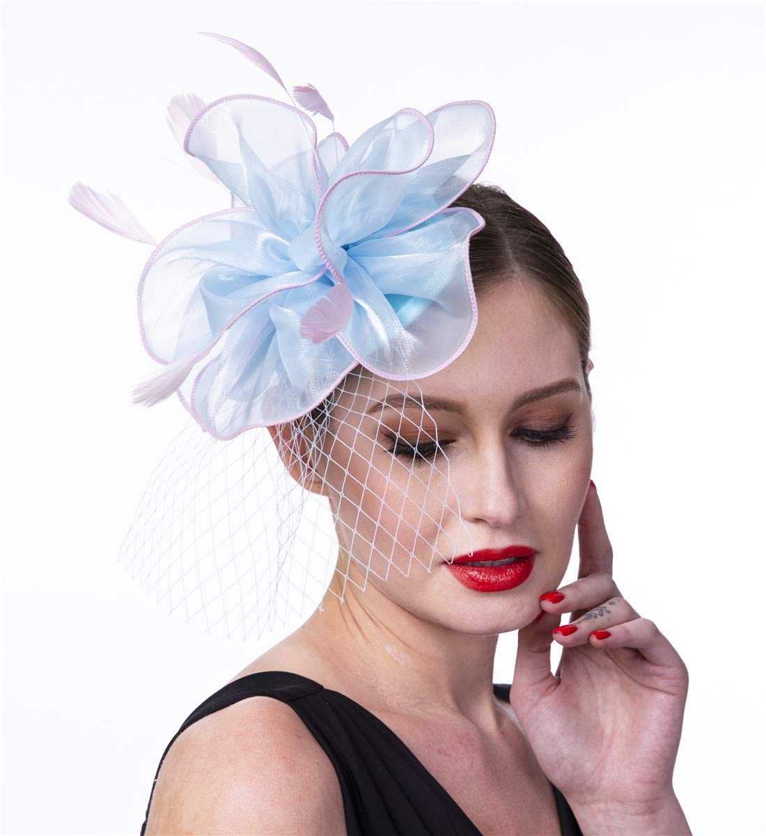 SAFERIN Fascinators Hat Flower Mesh Ribbons Feathers on a Headband and a Clip Tea Party Headwear for Girls and Women WN420