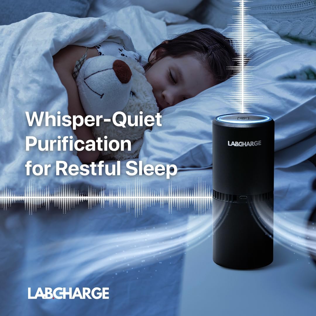 Lab Charge Small Ionic Air Purifier 99