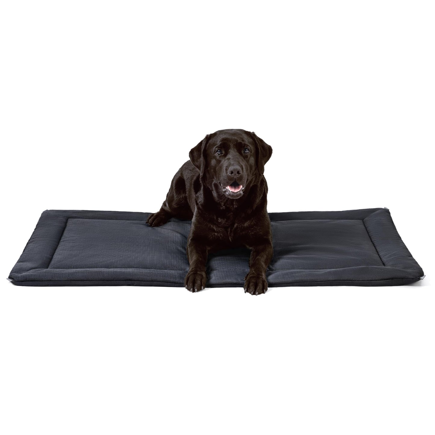 PELZIN Cybarmour Chew Proof Dog Crate Pad - Outdoor Indestructible Dog Bed - Tough - Potable - Machine Washable - Water & Dirt-Resistant - Jumbo Breeds & Fits 54-Inch Crate - 53"x35", Black WN420