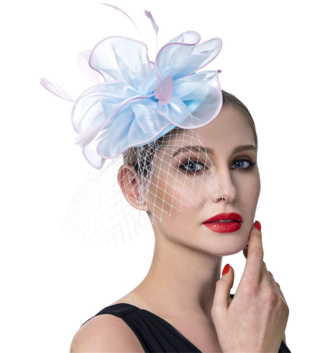 SAFERIN Fascinators Hat Flower Mesh Ribbons Feathers on a Headband and a Clip Tea Party Headwear for Girls and Women WN420