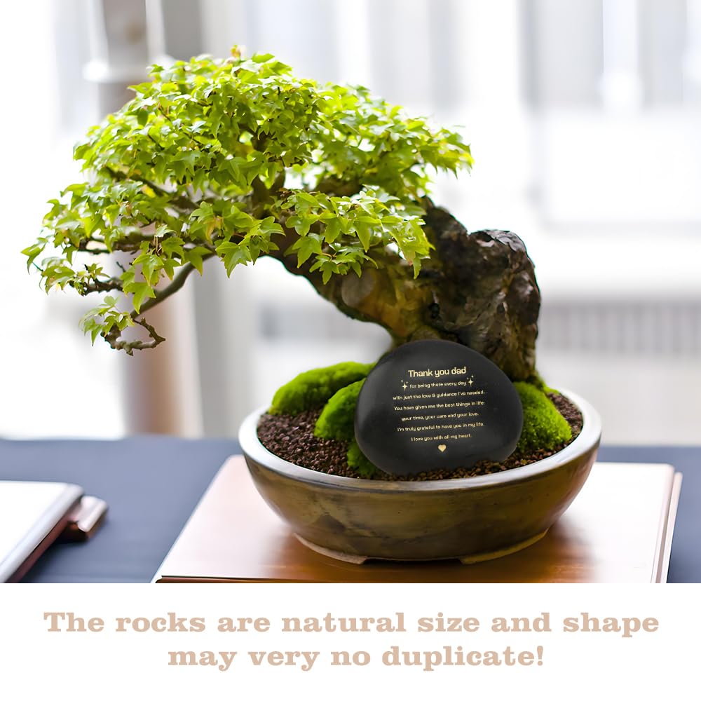 Dad Fathers' Day Gift for Father Daddy Best Dad Ever Rock Engraved Pebble Gifts Birthday Father's Day Valentines Presents Ideas Decorations BST220