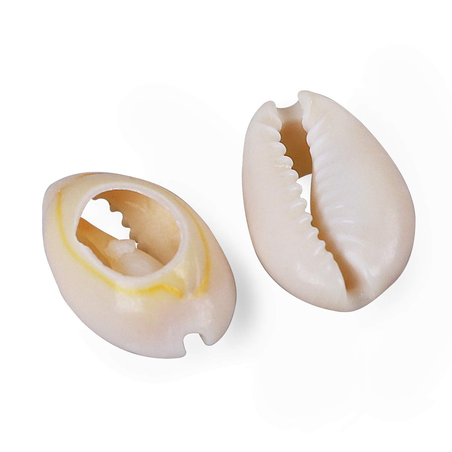 250 PCS Grey 0.71"-0.79"（18-20mm） Natural Strong Cowrie Shell Beads Smooth Cut Oval Seashells, Beach Seashells with Big Hole for DIY Craft Jewelry Making, Adorning Hair Locks and Braids BST220