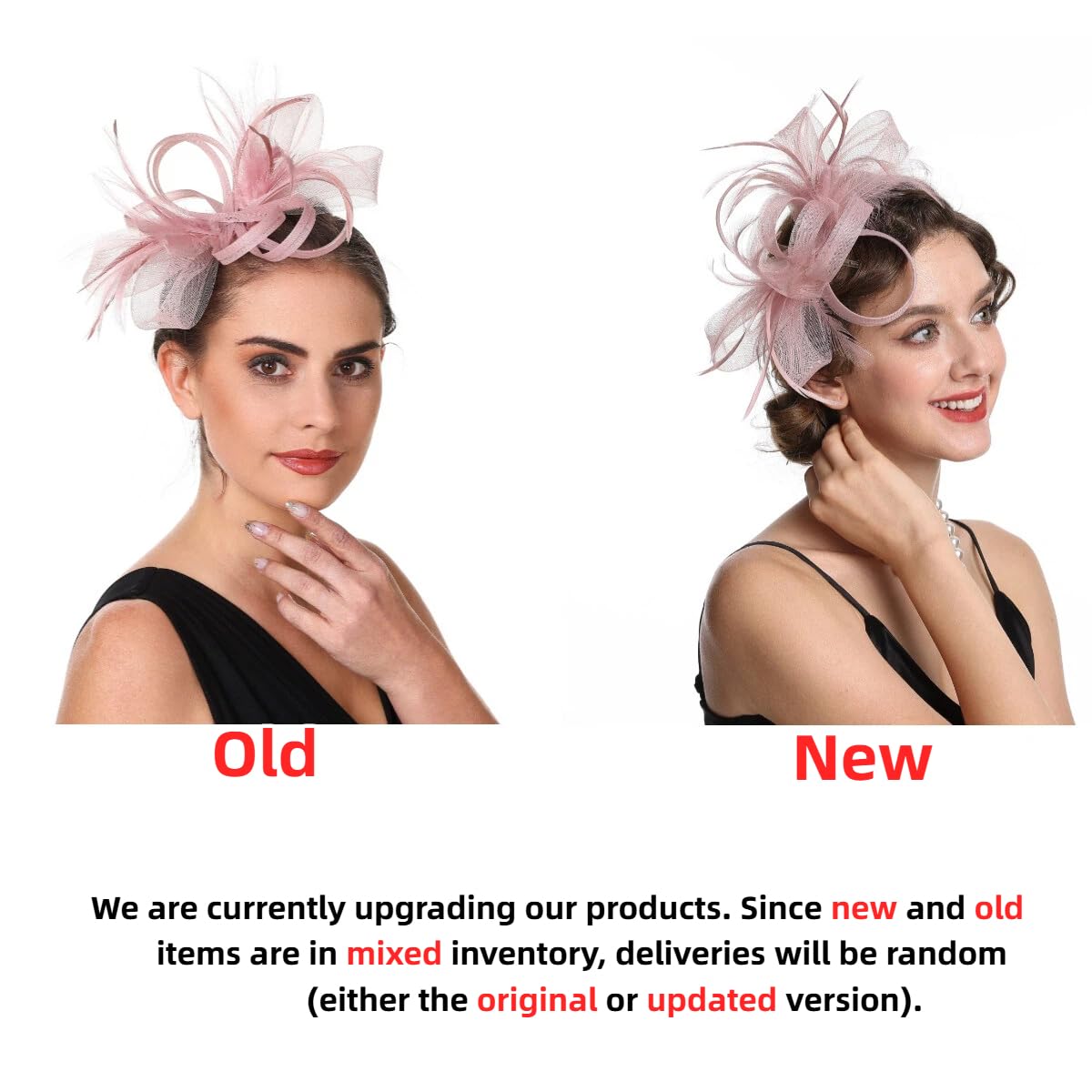SAFERIN Fascinators Hat Flower Mesh Ribbons Feathers on a Headband and a Clip Tea Party Headwear for Girls and Women WN420