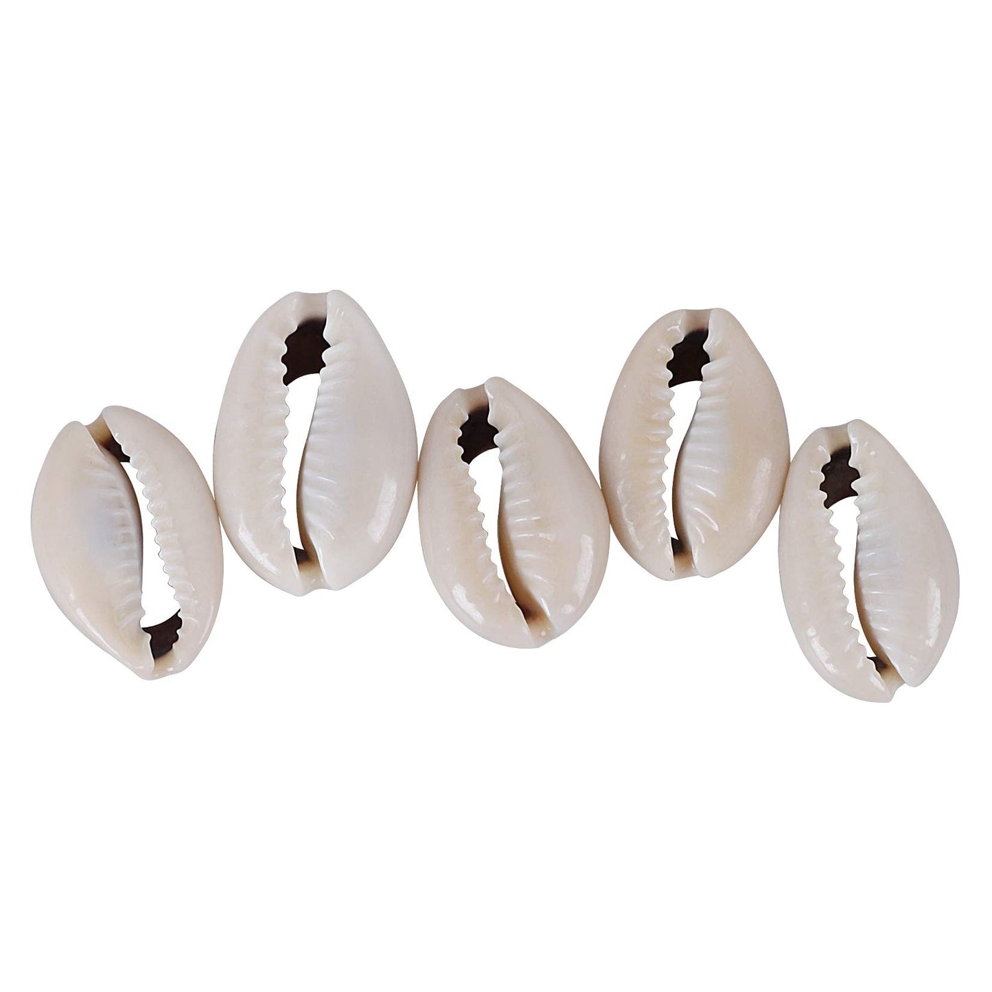 250 PCS Grey 0.71"-0.79"（18-20mm） Natural Strong Cowrie Shell Beads Smooth Cut Oval Seashells, Beach Seashells with Big Hole for DIY Craft Jewelry Making, Adorning Hair Locks and Braids BST220